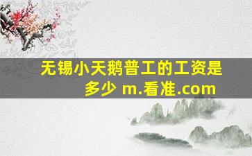 无锡小天鹅普工的工资是多少 m.看准.com